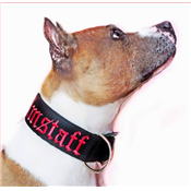 Collier AMSTAFF rouge