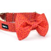 Noeud papillon pour chien Hello Autumn