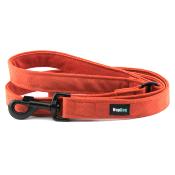 Laisse pour chien en velours PUMPKIN