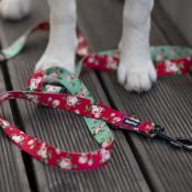 VINTAGE ROSES  laisse pour chien longue