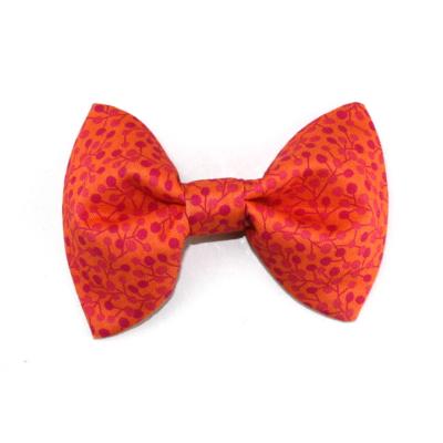 Noeud papillon pour chien Hello Autumn