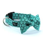 BUSY BEE collier chien turquoise