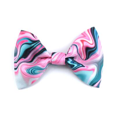 Nœud papillon pour chien SMOOTIE