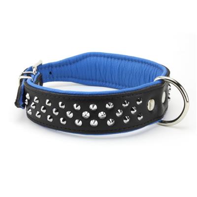 Collier pour chien en CUIR CLOUTE noir et bleu