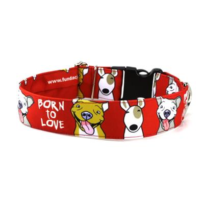 Collier pour chien BORN TO LOVE