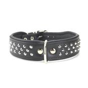 Collier pour chien en CUIR CLOUTE NOIR