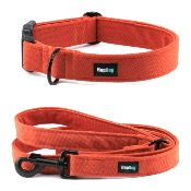 Ensemble PUMPKIN collier et laisse 