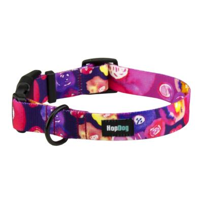 AQUERELLE PURPLE Collier fashion pour chien