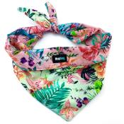 Bandana pour chien Exotic