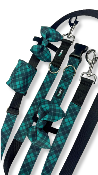 TARTAN VERT collier chien écossais