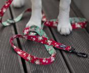 VINTAGE ROSES RASPBERRY collier chien fleurs