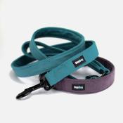 PRUNELLE collier chien en velours violet