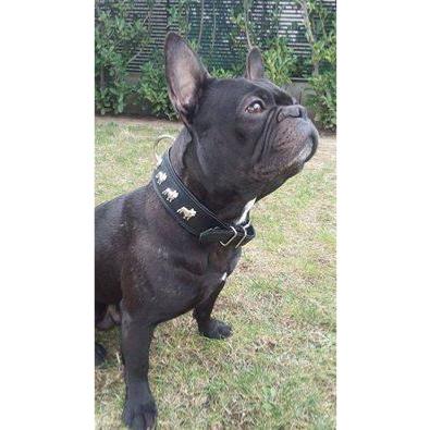 Pendentif chien Bouledogue français Pendentif chien Bouledogue français