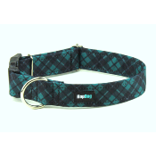 TARTAN VERT collier chien cossais