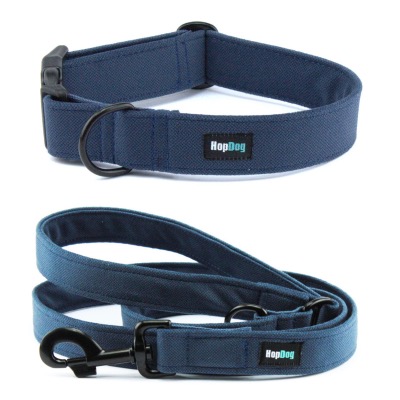 Ensemble BLEU INK collier et laisse