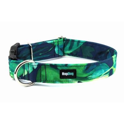 AMAZONIA collier imperméable pour chien