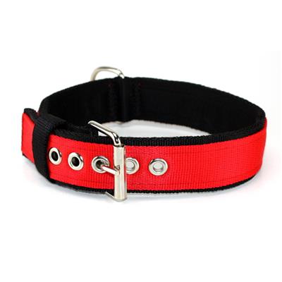 Collier Pour Chien Staffordshire Bull Terrier - Couvert D'Argent (ZnAl) - Marque Art Dog - Neuf Avec Étiquettes