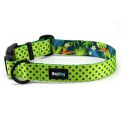 TROPIC DOT Collier pour chien  pois