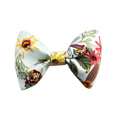 Noeud papillon pour chien Fun Flower