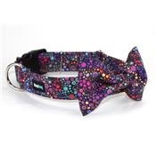 Collier pour chien Mini Bubbles
