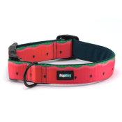 WATERMELON Collier rembourr pour gros chien 