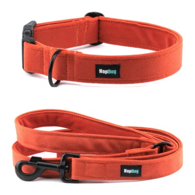 Ensemble PUMPKIN collier et laisse 