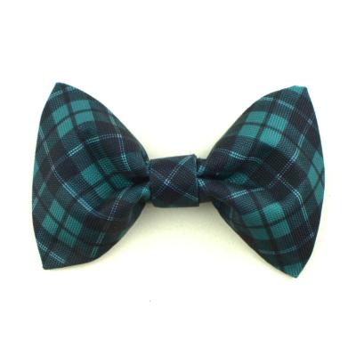 Noeud papillon écossais pour chien tartan vert