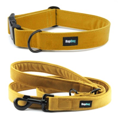Ensemble MOUSTARD collier et laisse