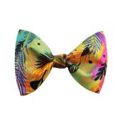 Noeud papillon pour chien Color Maniac