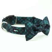 Noeud papillon écossais pour chien tartan vert