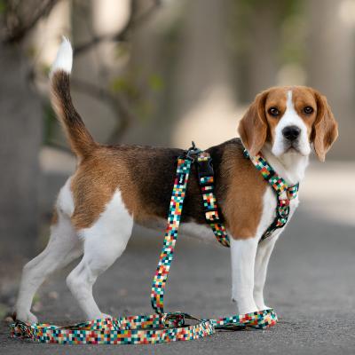 Le Beagle : un chien de chasse avisé et un compagnon en or