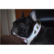 Collier BOULEDOGUE FRANCAIS en cuir blanc et rose