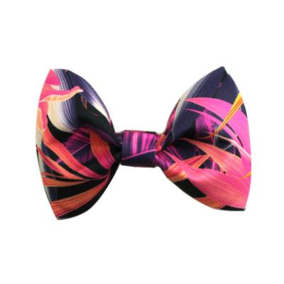 Noeud papillon pour chien Purple Heaven
