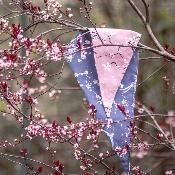 Bandana pour chien Cherry Blossom