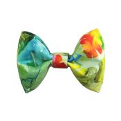 Noeud papillon pour chien Spring Monstera