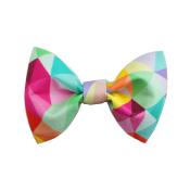 Noeud papillon pour chien Summer Vibes