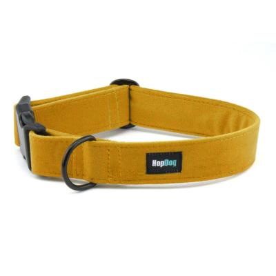 MOUSTARD collier velours pour chien couleur moutarde