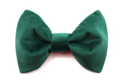 Noeud papillon en velours vert pour chien FOREST