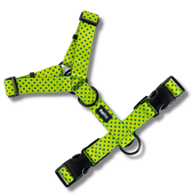 Harnais  pour chien Y PRO Tropic Dot