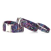 Collier pour chien Mini Bubbles
