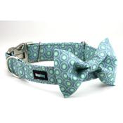 Collier pour chien Golf Azur