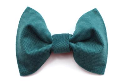 Noeud papillon en velours turquoise pour chien SARCELLE