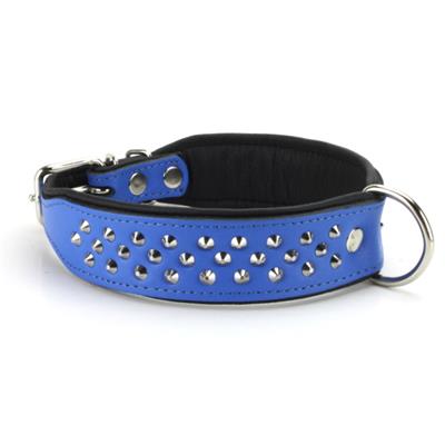 Collier pour chien en CUIR CLOUTE bleu