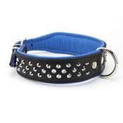 Collier pour chien en CUIR CLOUTE noir et bleu