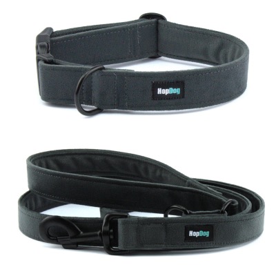 Ensemble GRAPHITE collier et laisse