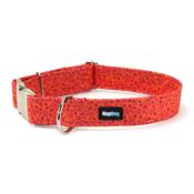 Collier pour chien Hello Autumn