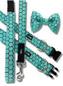 BUSY BEE collier chien turquoise